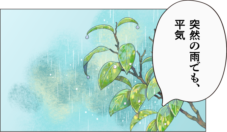 突然の雨でも、平気